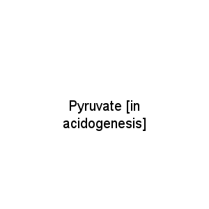 Pyruvate [in acidogenesis]